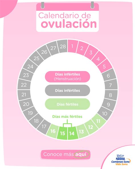 dias de ovulacion